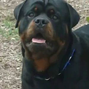 Meet your Posher, Tina